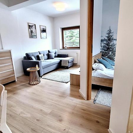 Why Not Apartament Przy Skoczni زاكوباني المظهر الخارجي الصورة