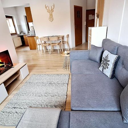 Why Not Apartament Przy Skoczni زاكوباني المظهر الخارجي الصورة